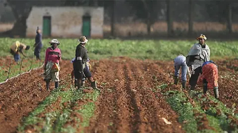 Northern Govs Move To End Attacks On Farmers