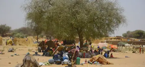 Drought and crop failures drive new displacement to Tawila, North Darfur