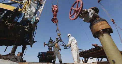 Oil