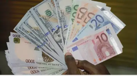 Naira records biggest gain against euro in over two years