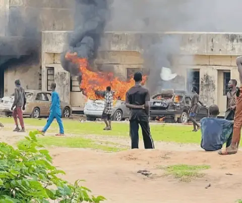 Political Risks Expose Gaps in Nigeria's Insurance Coverage