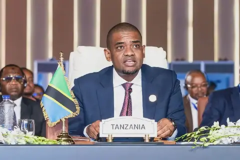 Ndejembi urges Africa to turn plans into real action