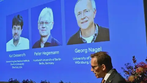 Prix Nobel de médecine : la lumière au service de l’étude du cerveau