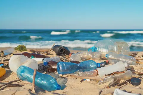 Plastic Pollution Costs Morocco $1.2 Billion a Year, Greenpeace Report Finds
