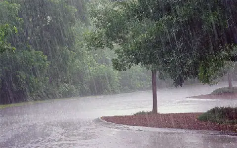 Heavy Rainfall Hits Senegal, Causing Inundations in Dakar and Other Regions