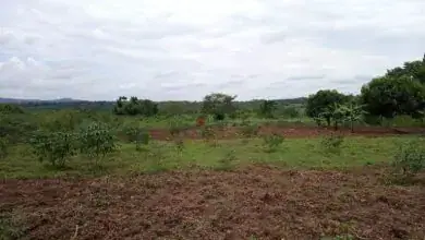 Moshi Rural District Receives 41.9bn/- in Development Funds