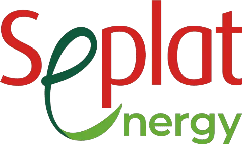 Seplat Urges Increased Investment in Nigeria's Natural Gas Resources
