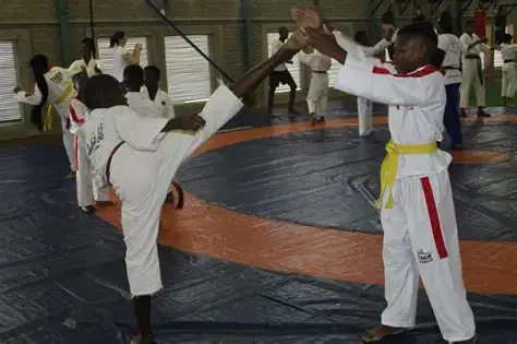 Academia Dragões Olímpicos de Inhambane compete in Botswana's Open Regional Taekwondo