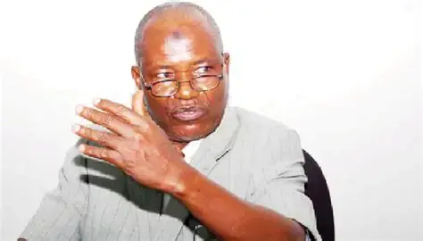 Nigeria's Development: A Shift from Transactional to Developmental Governance