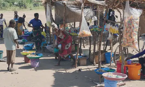 Malawi Ministry Admits Small Firms Face Significant Hurdles