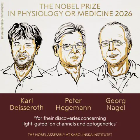 Prix Nobel de médecine 2026 : L’Américain Karl Deisseroth et les Allemands Peter Hegemann et Georg Nagel lauréats