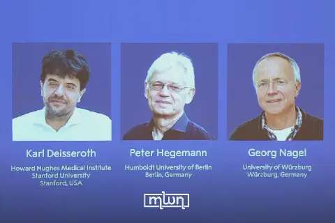 Three Scientists Win 2026 Nobel Medicine Prize for Neuroscience Research