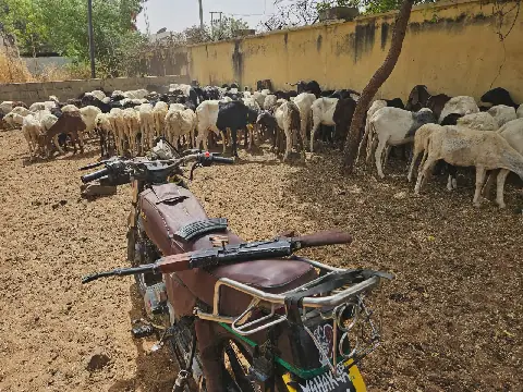 Kwara Trains 100 Livestock Farmers on Biosecurity Measures