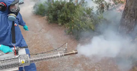 Tunisia's Ariana Governorate to Conduct Pest Control Operations