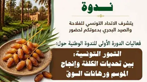 Tunisia's Date Sector Faces Challenges Despite Record Production