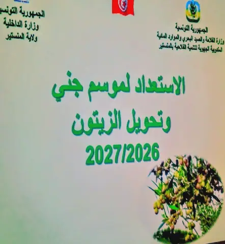 Tunisia's Monastir Region Prepares for 2026-2027 Olive Oil Season