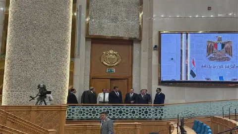 Egypt's Senate to Hold Three Sessions to Announce Formation of 14 Committees