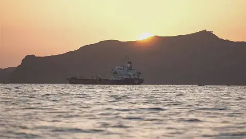 Egyptian Military Foils Houthi Plot to Attack Shipping in Bab al-Mandab