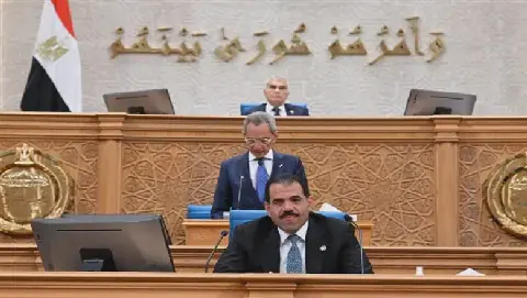 Egypt's Senate Postpones Sessions Until October 26