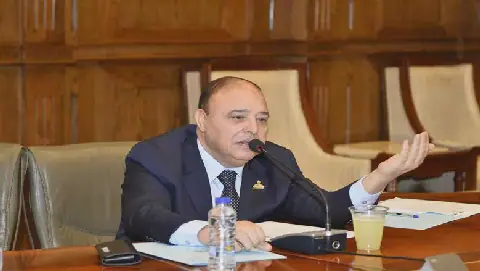 Egyptian Senator Vows to Prioritize Medical Service Development
