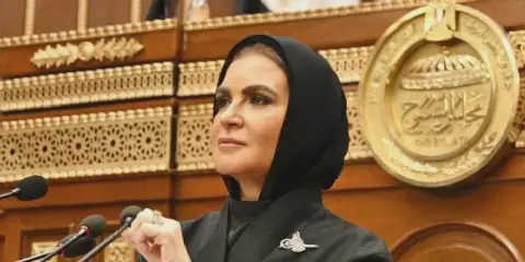 Dr. Sahar Nasr Re-elected as Deputy Chair of Egyptian Senate's Economic Committee