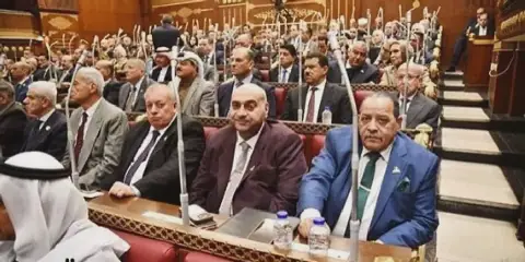 Egypt's National Front Party Secures Three Senate Committee Leaderships