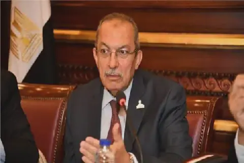 Egypt's Senate Health Committee Elects New Leadership