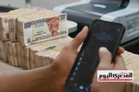 Egyptian Social Security Chief Outlines Pension Calculation Factors