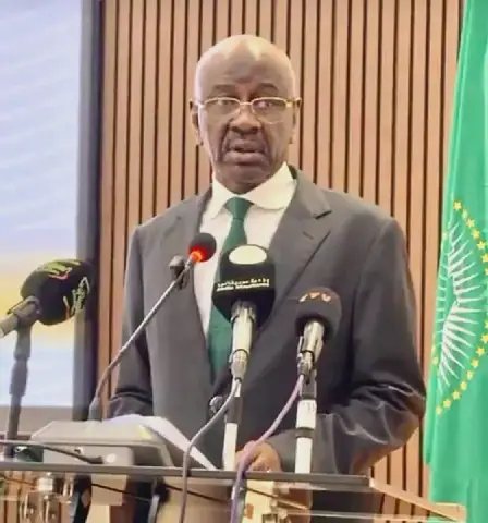 Mauritanian Foreign Minister Emphasizes Comprehensive Approach to Silencing Guns in Africa