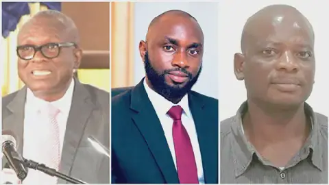 NPP's 2028 Chances Hinge on More Than New Executive - Analysts