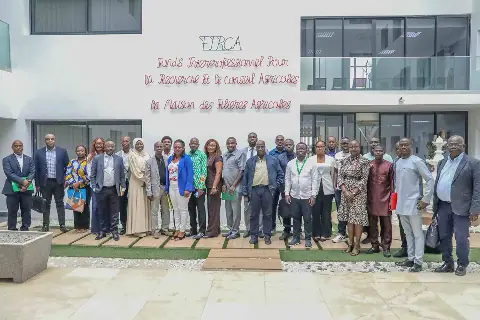 Côte d'Ivoire's FIRCA Calls for Scientific Evaluation of Hévea Wood as Fuel Source