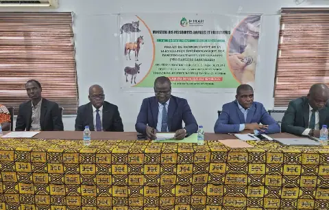 Côte d'Ivoire Deploys Digital Tool to Enhance Animal Disease Surveillance