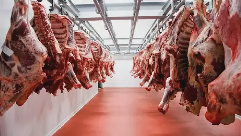 Farmers push Savanna Beef shares up 6.8%