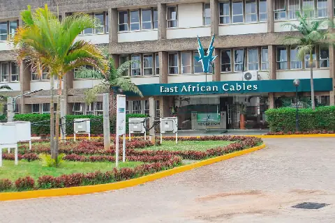 CAK Approves Acquisition of EA Cables in Bankruptcy