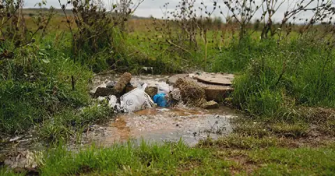 Emfuleni Municipality Plagued by Corruption, Poor Service Delivery, and Whistleblower's Murder