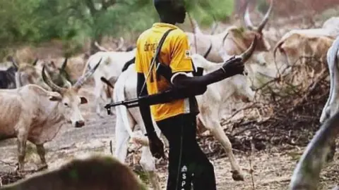 Gunmen kill two, injure six in fresh attack on Plateau herders