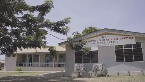 Sickle Cell Institute appeals for infrastructure, equipment to expand specialised care