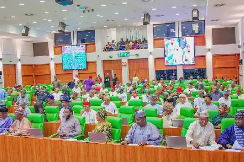 Reps Urge INEC to Disqualify Candidates Over Supreme Court Ruling