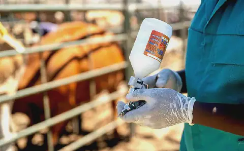 ARC FMD vaccine privatisation, a decision long overdue farmers and experts say