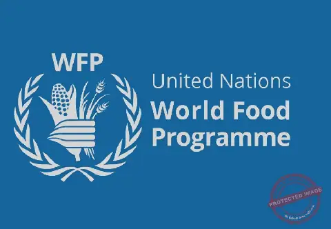 WFP condemns attack, forced offloading of aid in Jonglei
