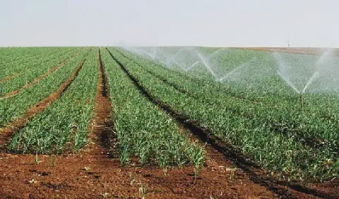 Agriculture in Tunisia's Sousse Governorate Faces Water Stress and Declining Aquifers