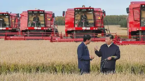 De la Terre au Pouvoir : Comment la Chine a fait du monde rural le cœur battant de sa modernisation