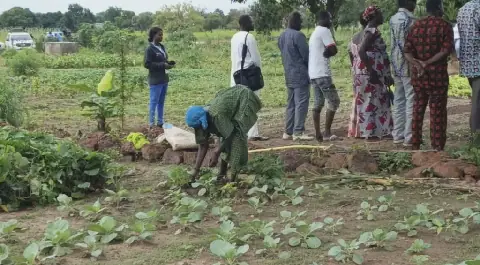Partnership for Resilience in the Sahel Improves Living Conditions for Over 120 Households in Fada