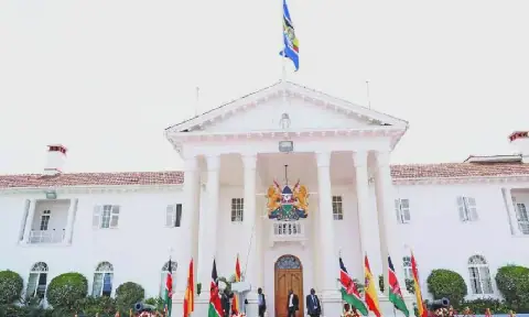 Tuk-Tuk Driver Tries to Force Entry into State House Nairobi
