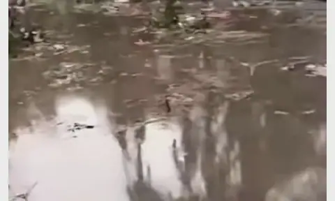 Swamp impedes NAF crash recovery, aircraft still submerged – Police give update