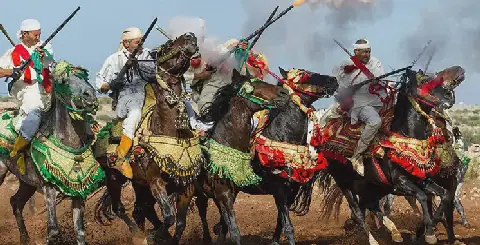 El Jadida to Host 17th Edition of the Horse Show from October 13-18