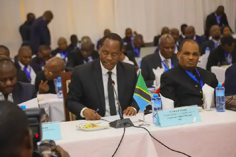 Tanzania, Mozambique explore border security and immigration system