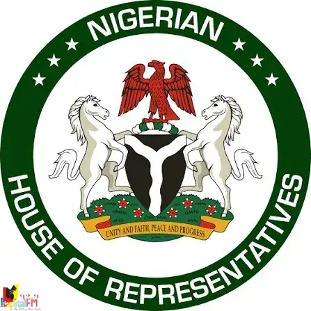 Reps Probe HYPREP Over N400bn Ogoni Cleanup Funds