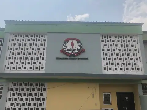 NAS launches mentorship programme for young Nigerian researchers