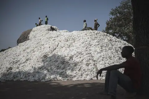Can cotton power Africa’s industrialisation?